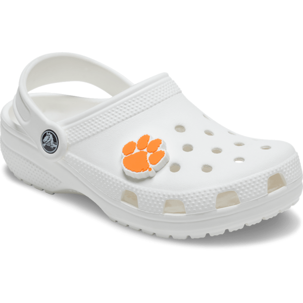 Clemson University - Image 3