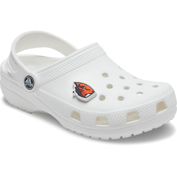 Oregon State - Image 3