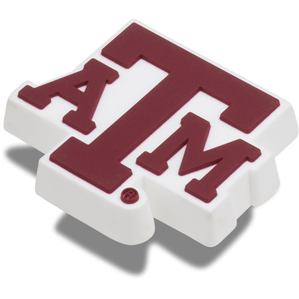 Texas AM University - Image 2