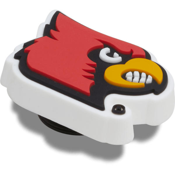 University of Louisville - Image 2