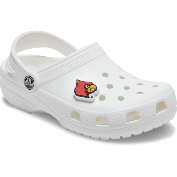 University of Louisville - Image 3