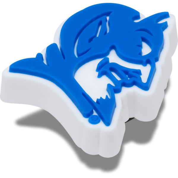Duke University - Image 2