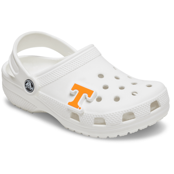 University of Tennessee - Image 3