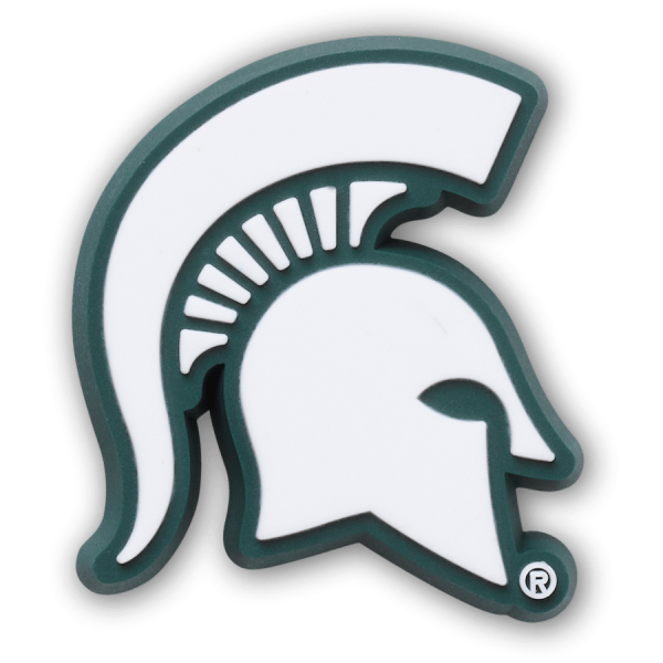 Michigan State University