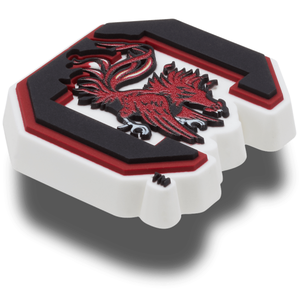 University of South Carolina - Image 2