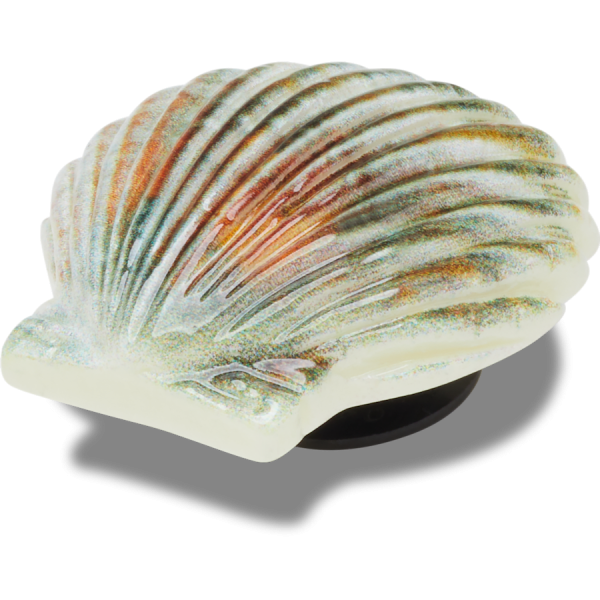Natural Seashell - Image 2