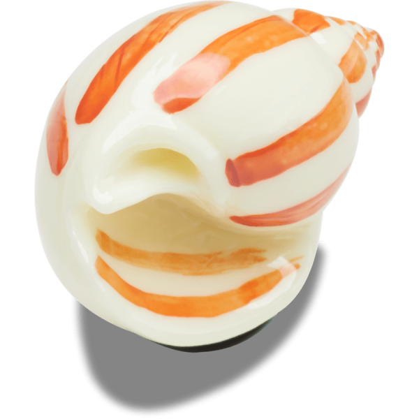 Natural Conch Shell - Image 2
