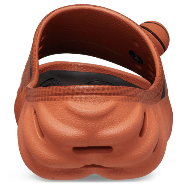NBA Echo Slide - Image 6